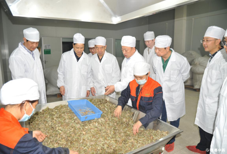 中藥現(xiàn)代化與天然藥物研發(fā)創(chuàng)新項(xiàng)目座談會